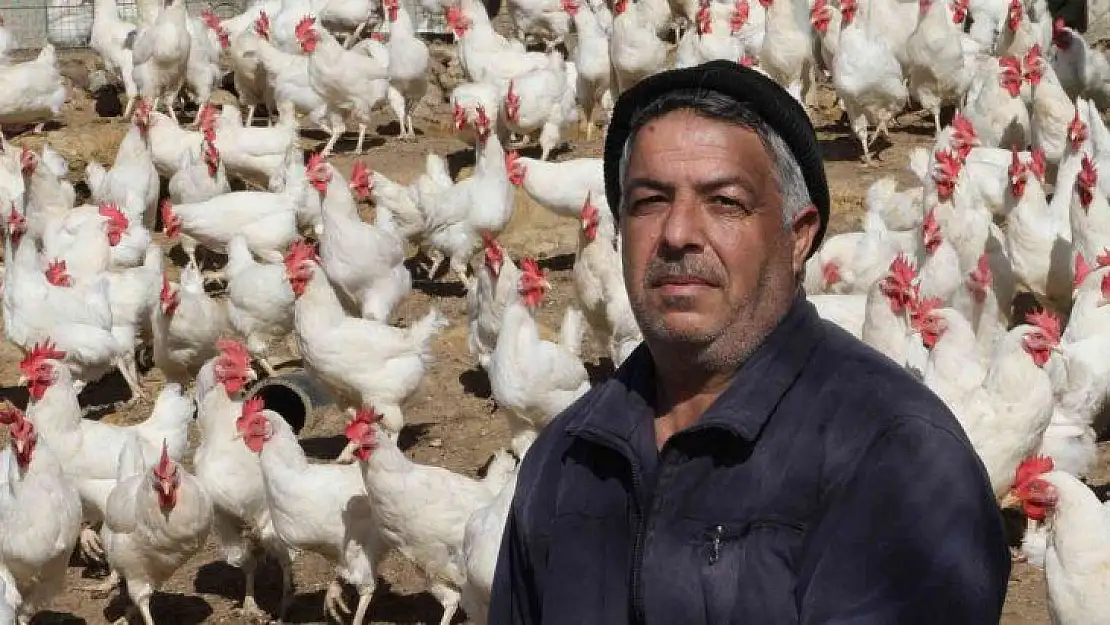 Artan yem fiyatlarına kızdı ve..