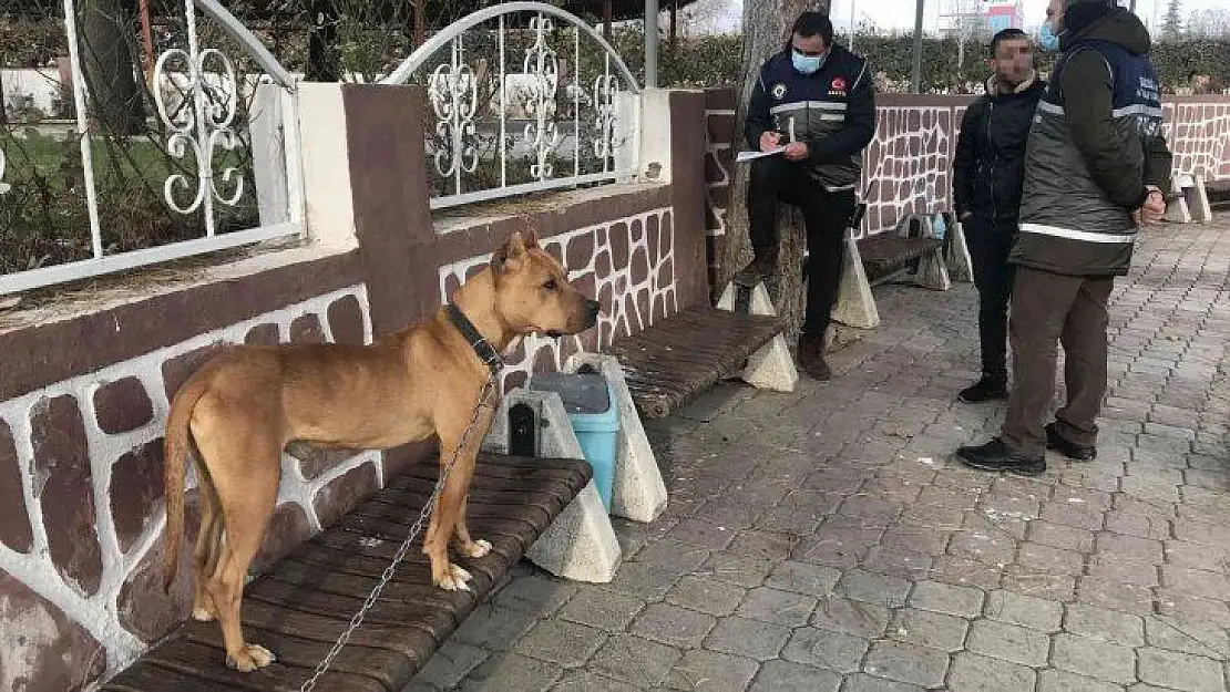 Çocuk parkında pitbull gezdiriyordu