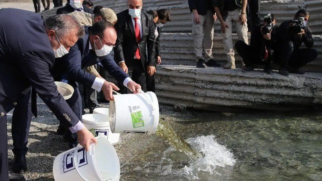 Cumhuriyet'in 97. yılı anısına Keban Barajı'na 970 bin adet balık yavrusu bırakıldı