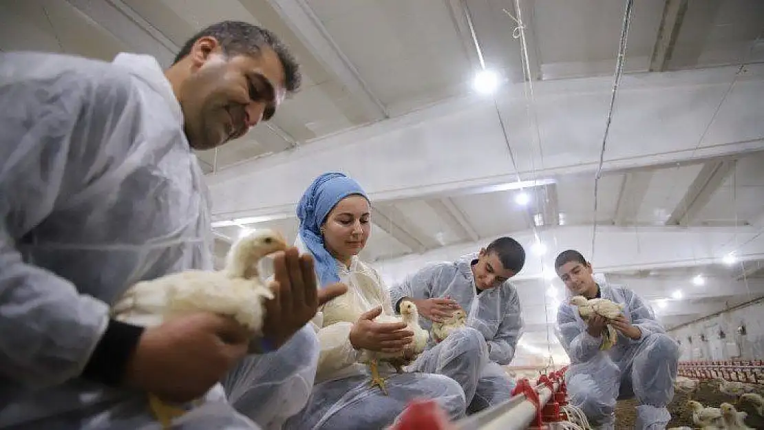 Devletten Aldığı Destekle Çiftlik Sahibi Oldu