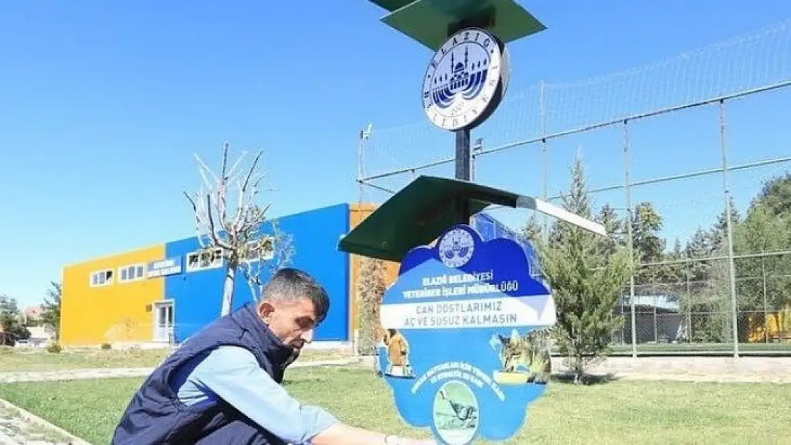 Elazığ Belediyesi sokak hayvanlarını unutmadı