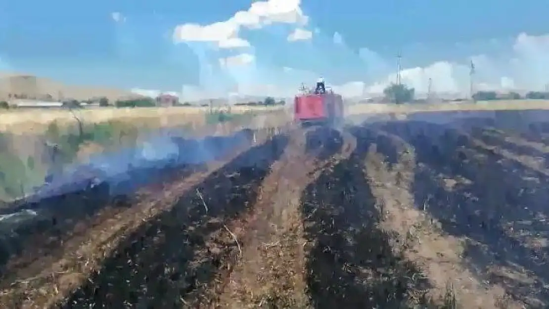 Elazığ'da 12 dönüm arpa kül oldu