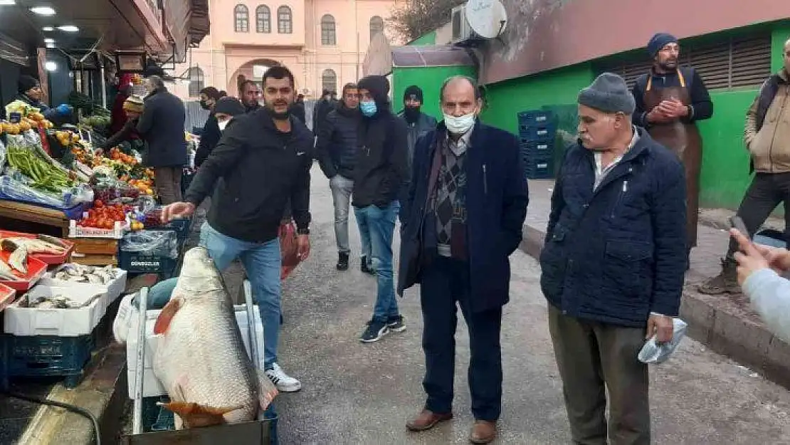 60 kiloluk dev turna balığı