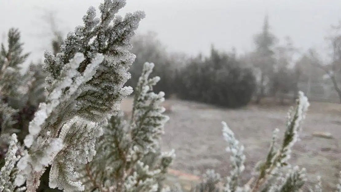 Elazığ'da ağaçlar kırağı tuttu, süs havuzları dondu