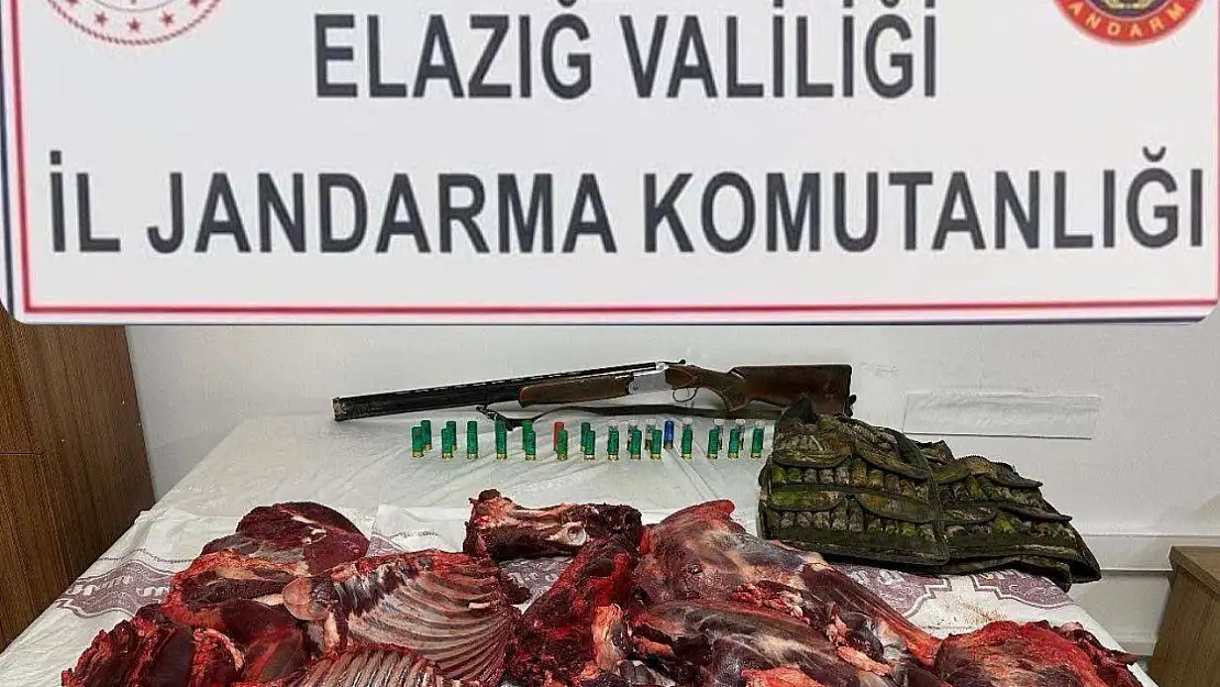 Elazığ'da dağ keçisini avlayan şahsa 650 bin lira ceza kesildi