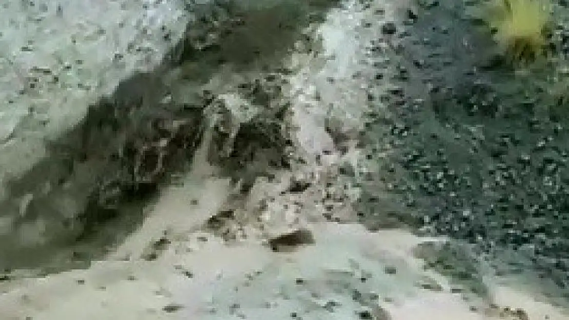 Elazığ'da taşan dere köy yolunu çökertti