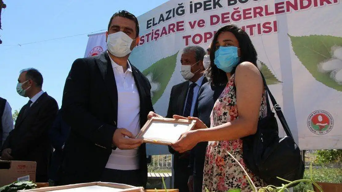 Elazığ'da ipek böcekçiliği yeniden canlanıyor