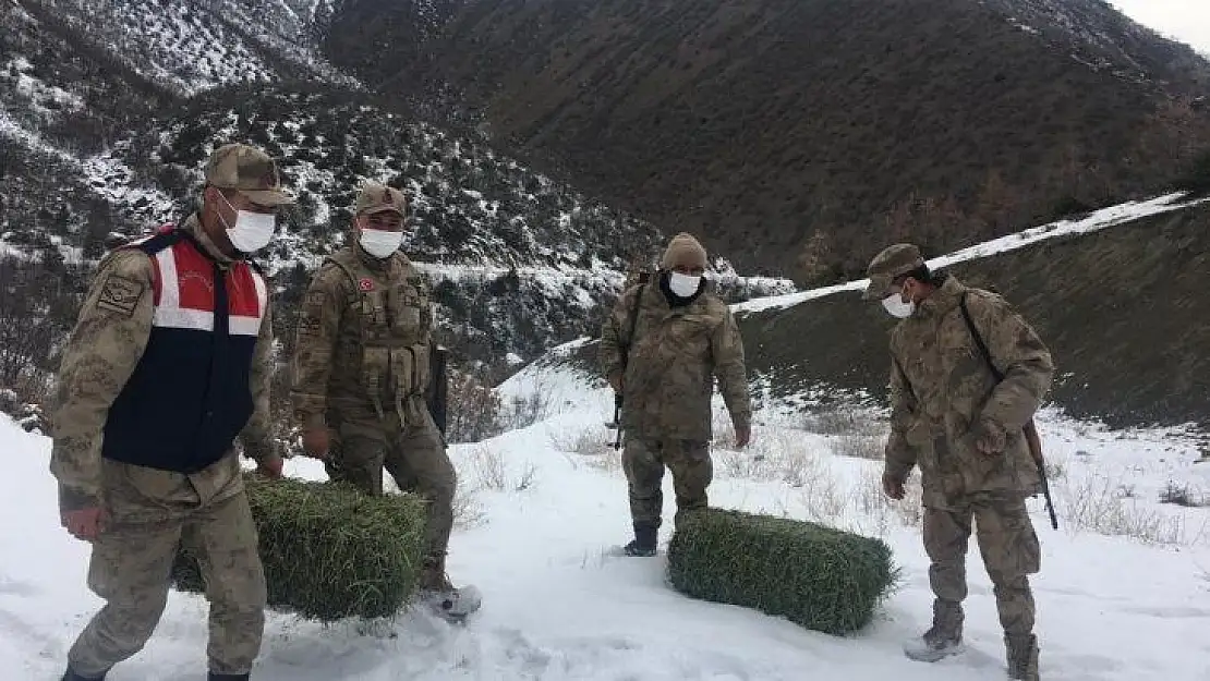 Yaban hayatı için doğaya yem bıraktı