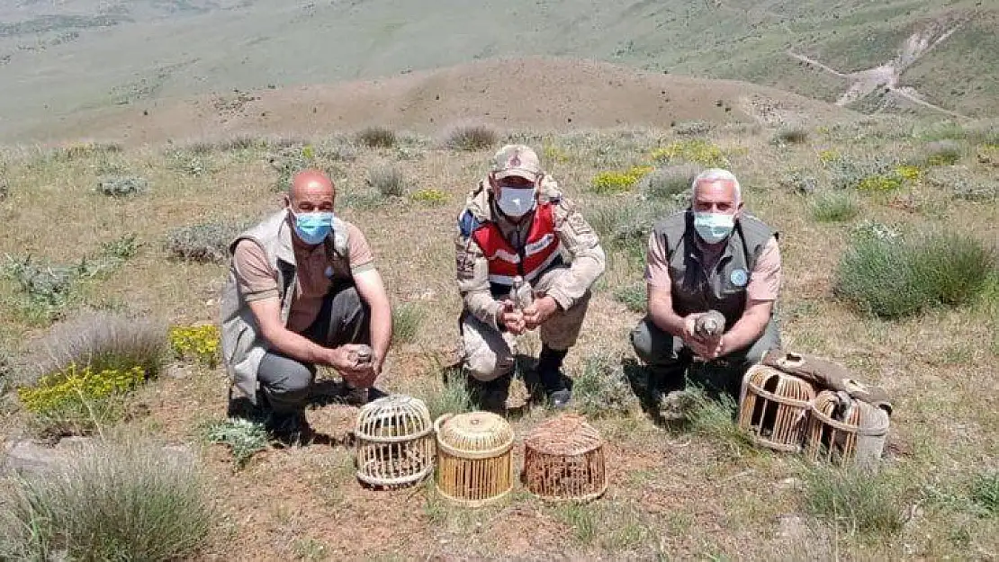 Elazığ'da kaçak avda yakalanan 3 şahsa işlem yapıldı
