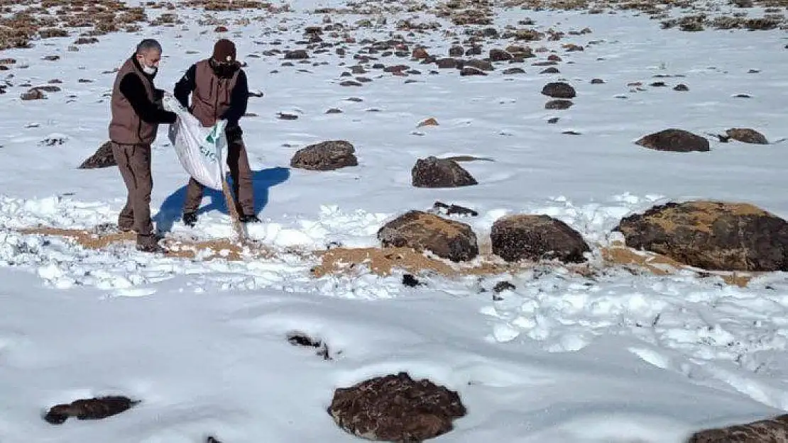 Elazığ'da kaçak avla mücadele ve yaban hayvanlarına yem desteği