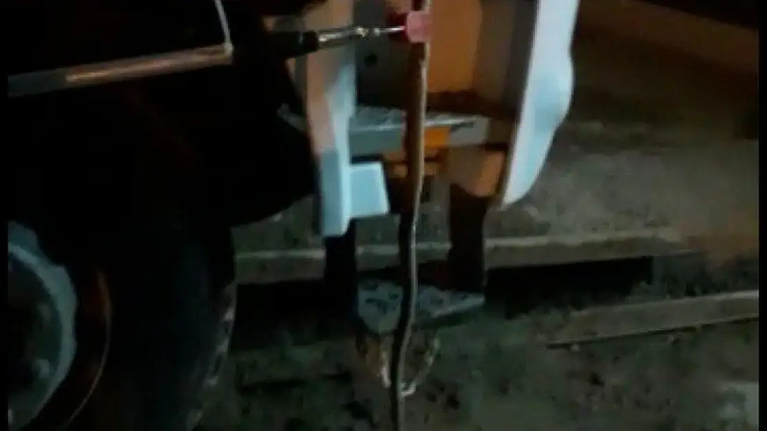 Elazığ'da kamyonun kabininden yılan çıktı