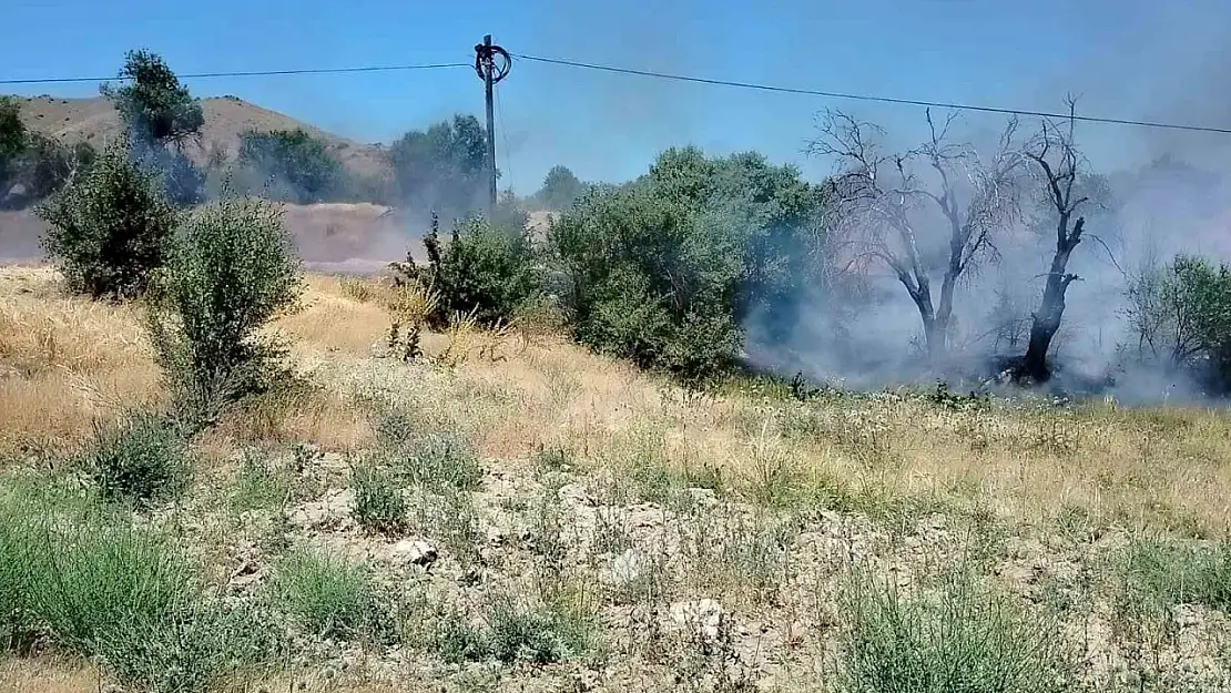 Onlarca dönümlük alan kül oldu