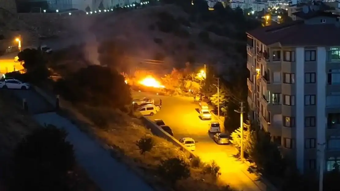 Elazığ'da ot yangını
