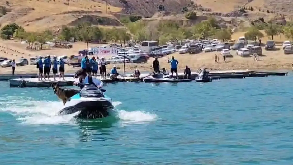 Elazığ'da sahibiyle jet ski turu atan köpek gülümsetti