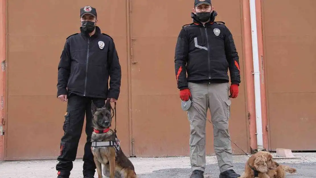 Uyuşturucu tacirlerinin korkulu rüyaları: Alex ve Nina