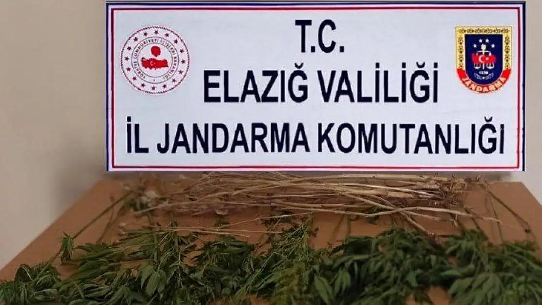 Elazığ'da uyuşturucuyla mücadele