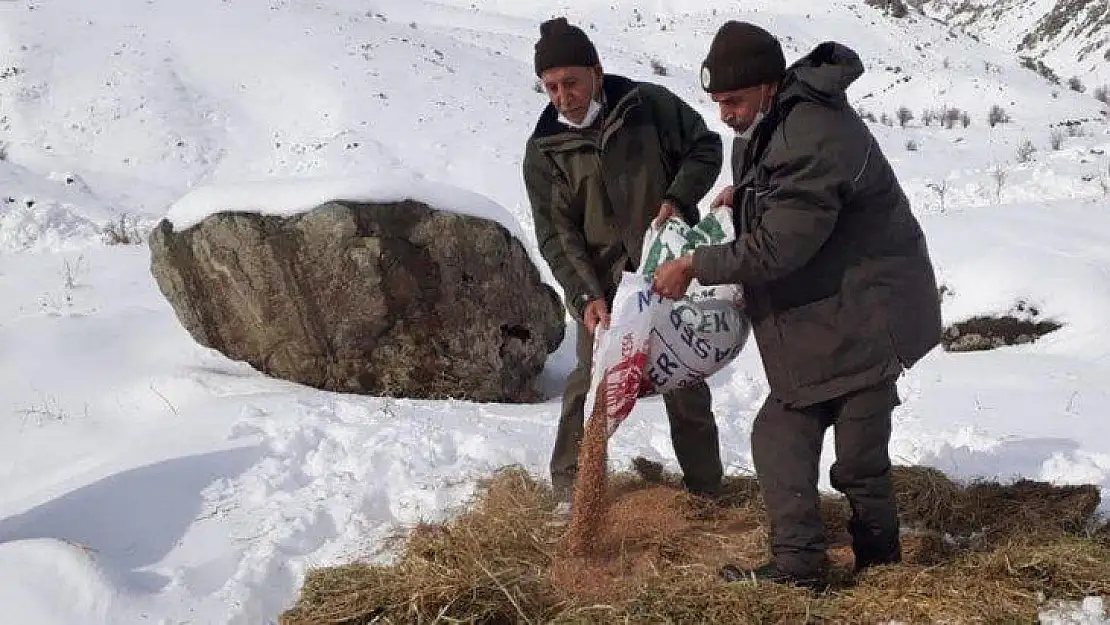 Elazığ'da Yaban Hayvanları İçin Doğaya 1,5 Ton Yem Bırakıldı