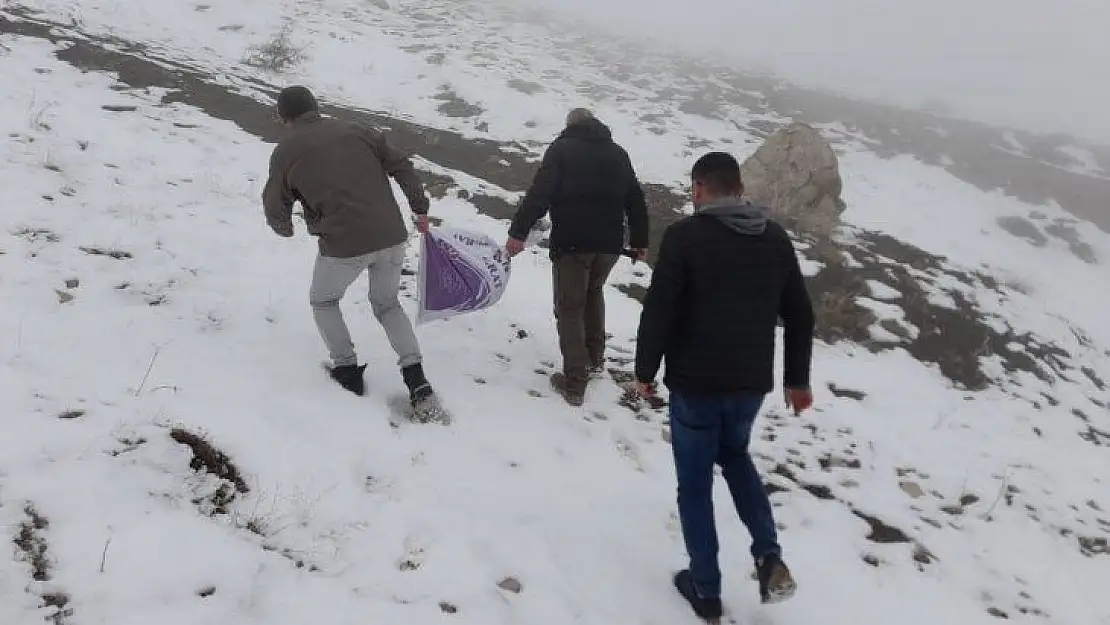 Hayvanlar için doğaya yem bırakıldı