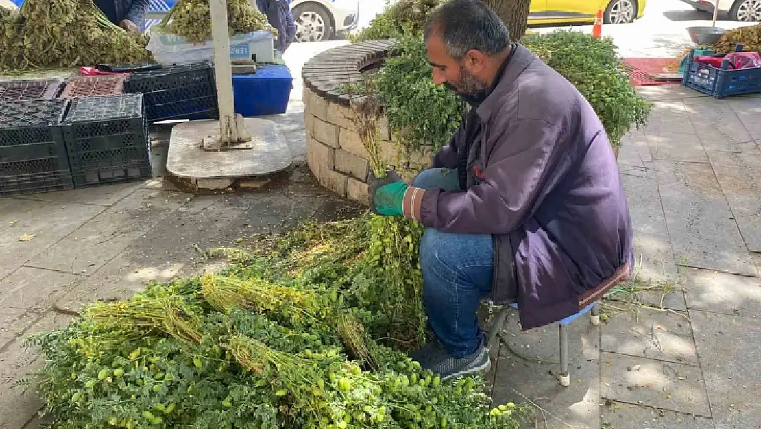 Elazığ'da yeşil nohut tezgahlardaki yerini aldı