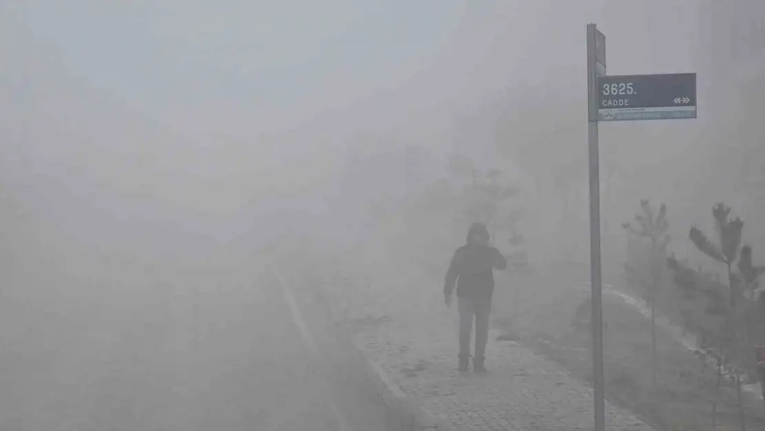 Elazığ'da yoğun sis etkili oldu, bir mahalle adeta kayboldu