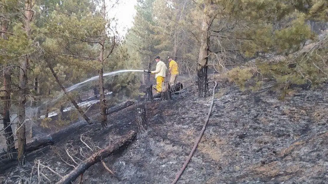 Elazığ'daki orman yangını söndürüldü