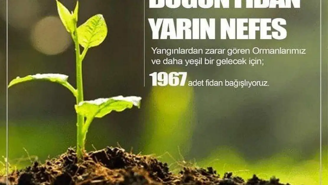 Elazığspor, 1967 fidan bağışlayacak