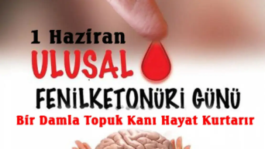 Ulusal Fenilketonüri Günü