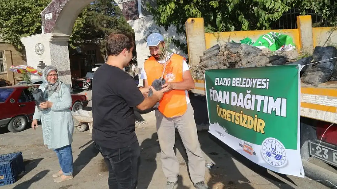 Belediyeden Ücretsiz Fidan Dağıtımı