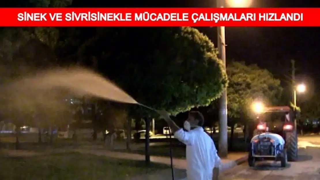 Haşerelerle Mücadele