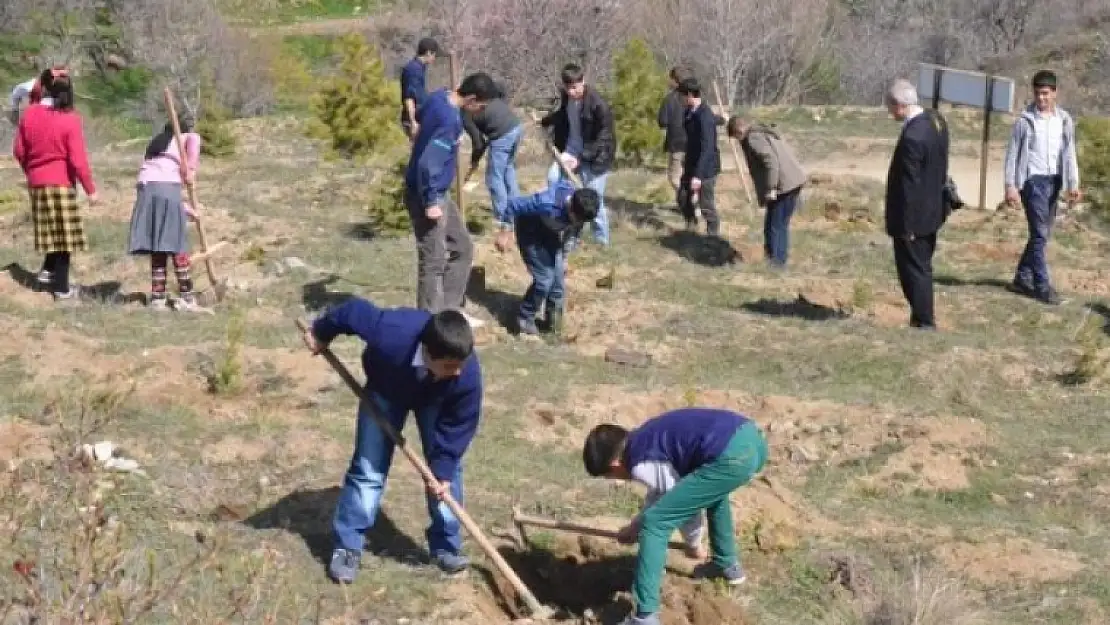 Nevruz Ormanına Fidan Dikimi Yapıldı