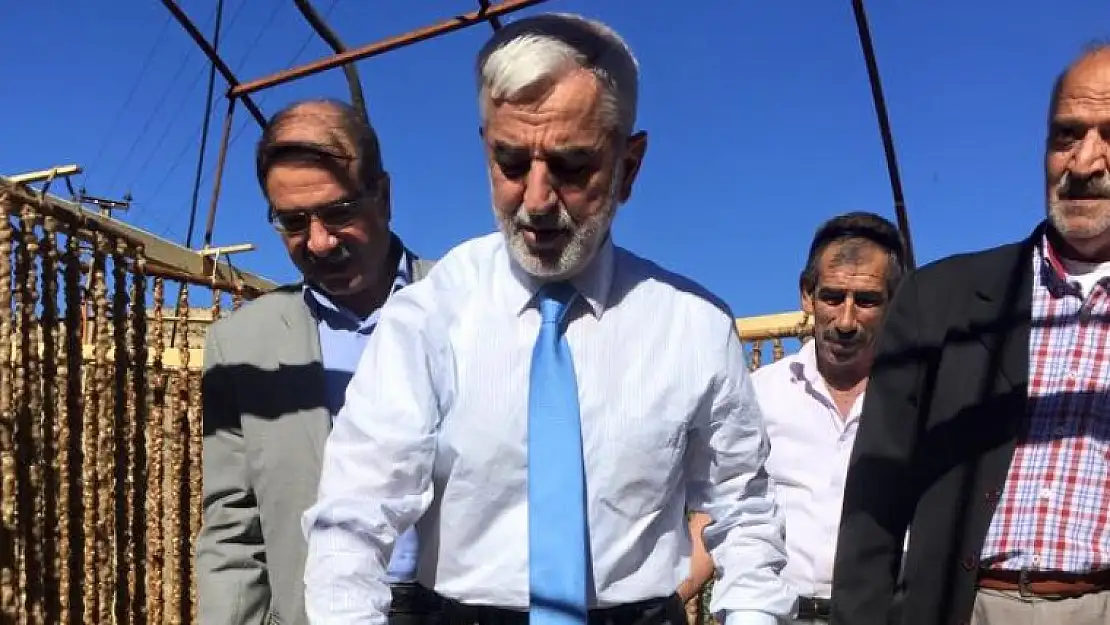 Öztürk Oymaağaç Köyü'nde