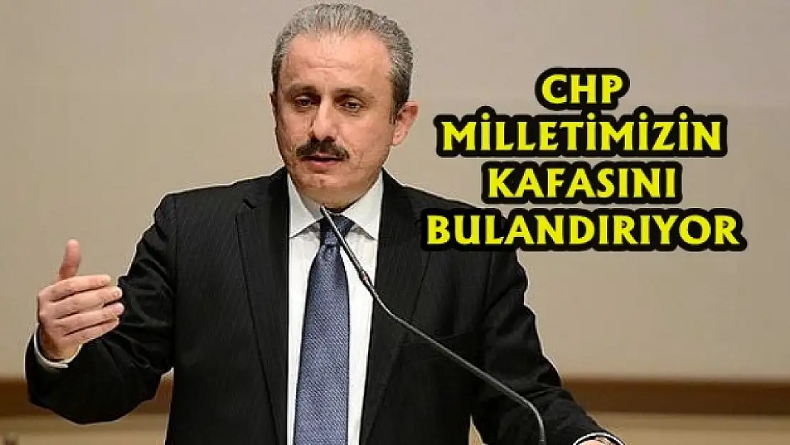 Şentop Elazığ'da Konuştu