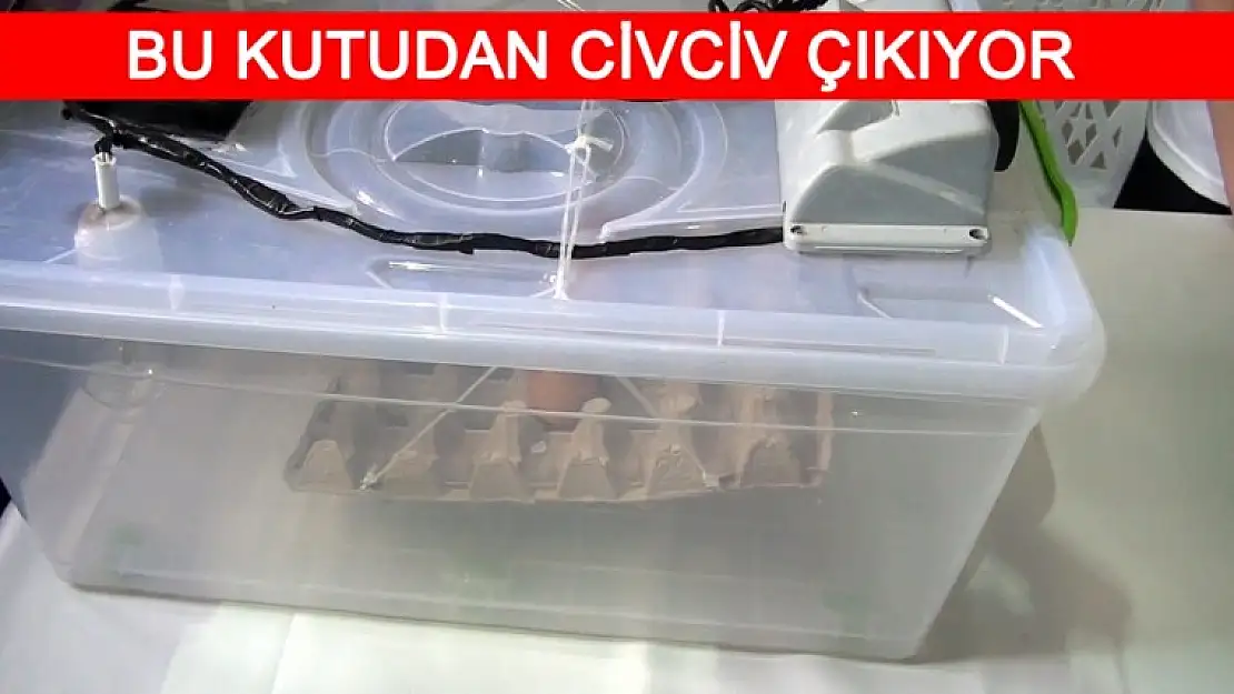 Bilim Fuarı Açıldı