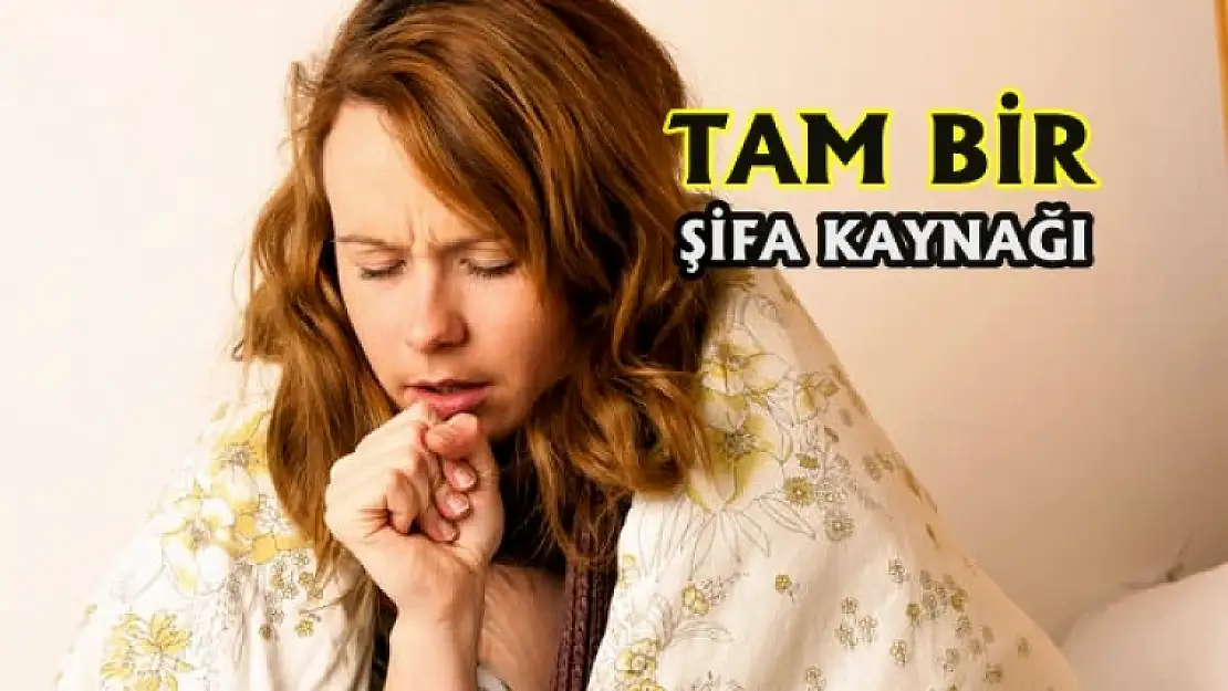 Akciğer Hasarlarına Karşı Etkili