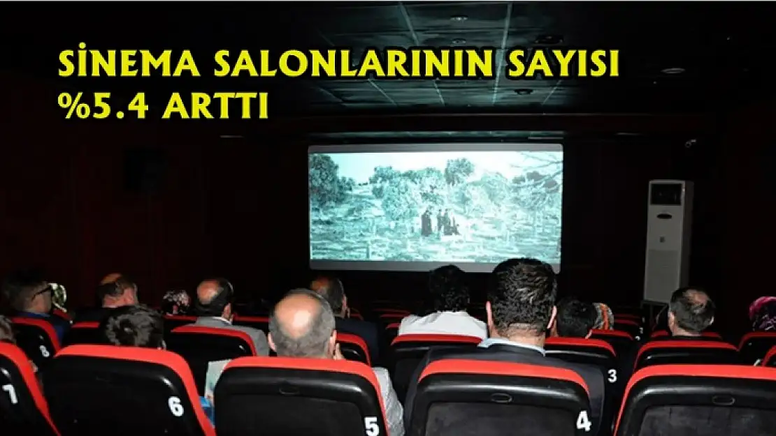 Sinema ve Tiyatro İstatistikleri