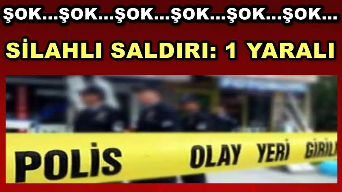 Elazığ'da Korkutan Olay! 1 Yaralı