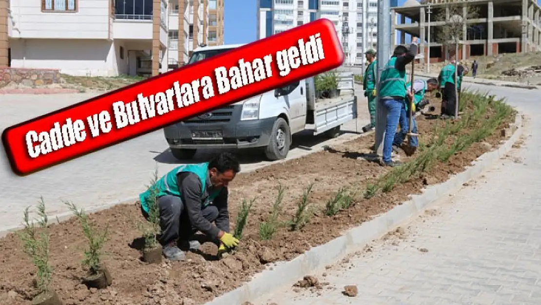 Cadde ve Bulvarlara Bahar Geldi!