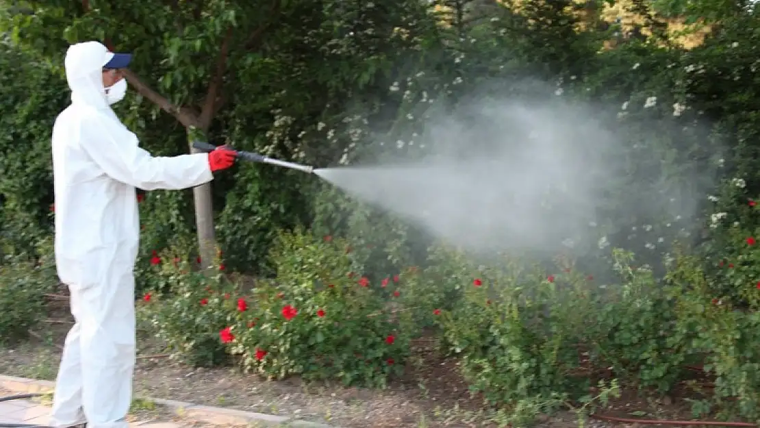 Belediye İlaçlama Çalışmalarını Sürdürüyor