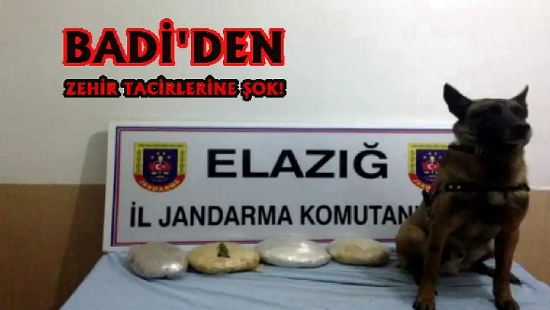 Jandarma Göz Açtırmıyor