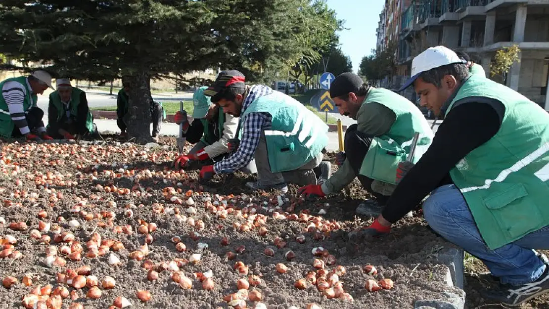 400 Bin Lale Toprakla Buluşacak