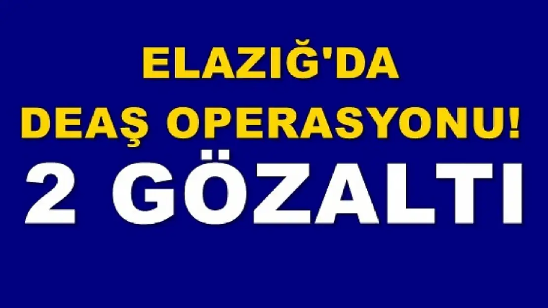 Elazığ'da DEAŞ'tan 2 Gözaltı