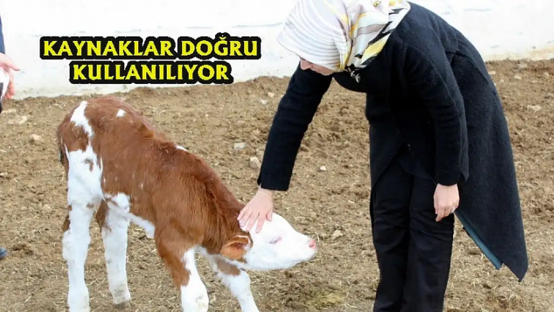 Yıldız'dan Ziyaretler