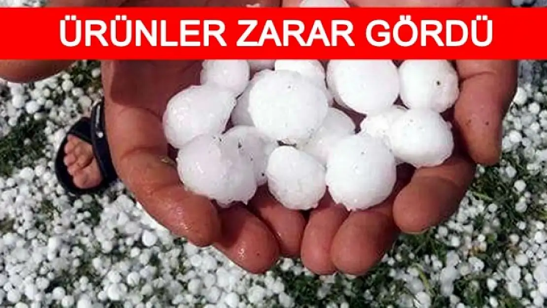 Ceviz Büyüklüğünde Dolu