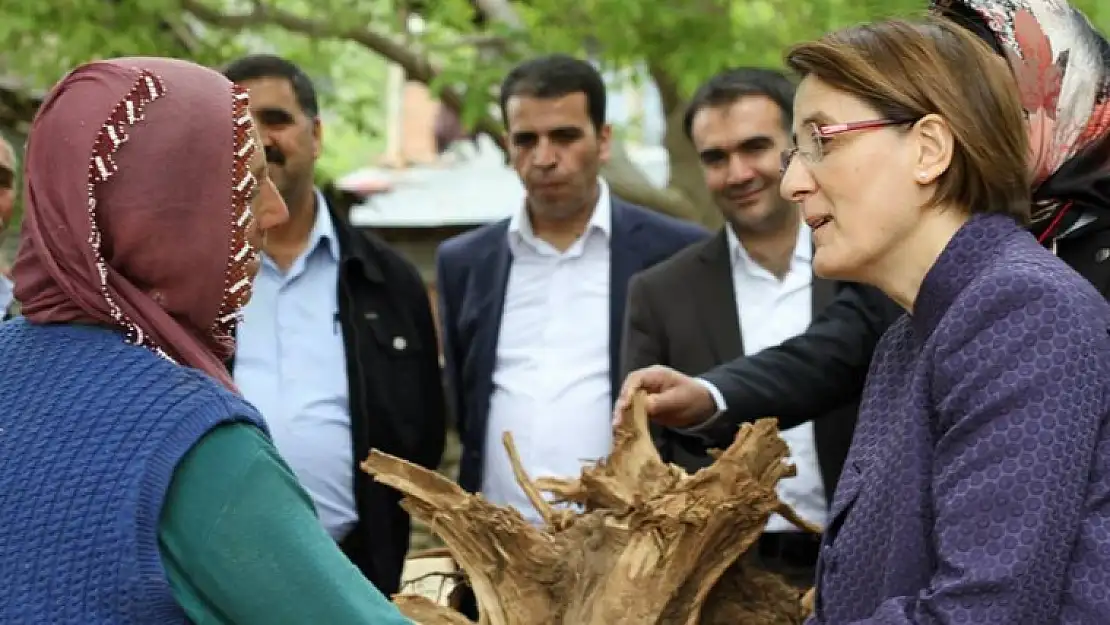 Annemler Size Gelecek Projesi Arıcak'ta Gerçekleştirildi