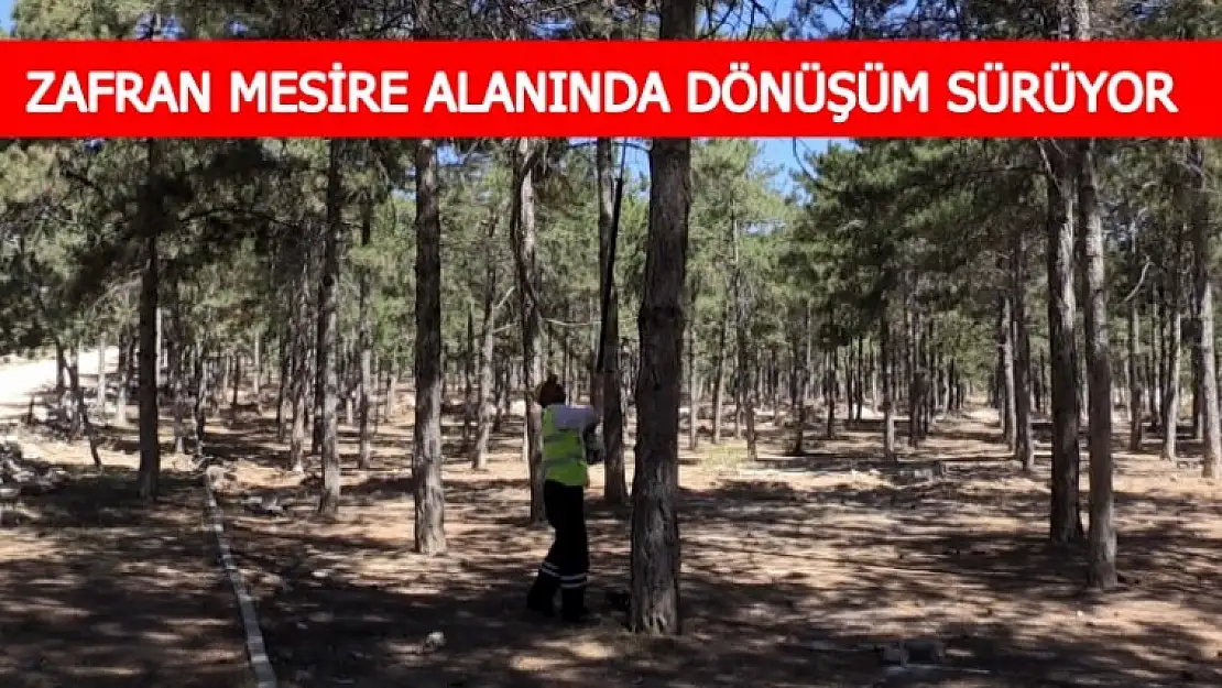 Çalışmalar Devam Ediyor