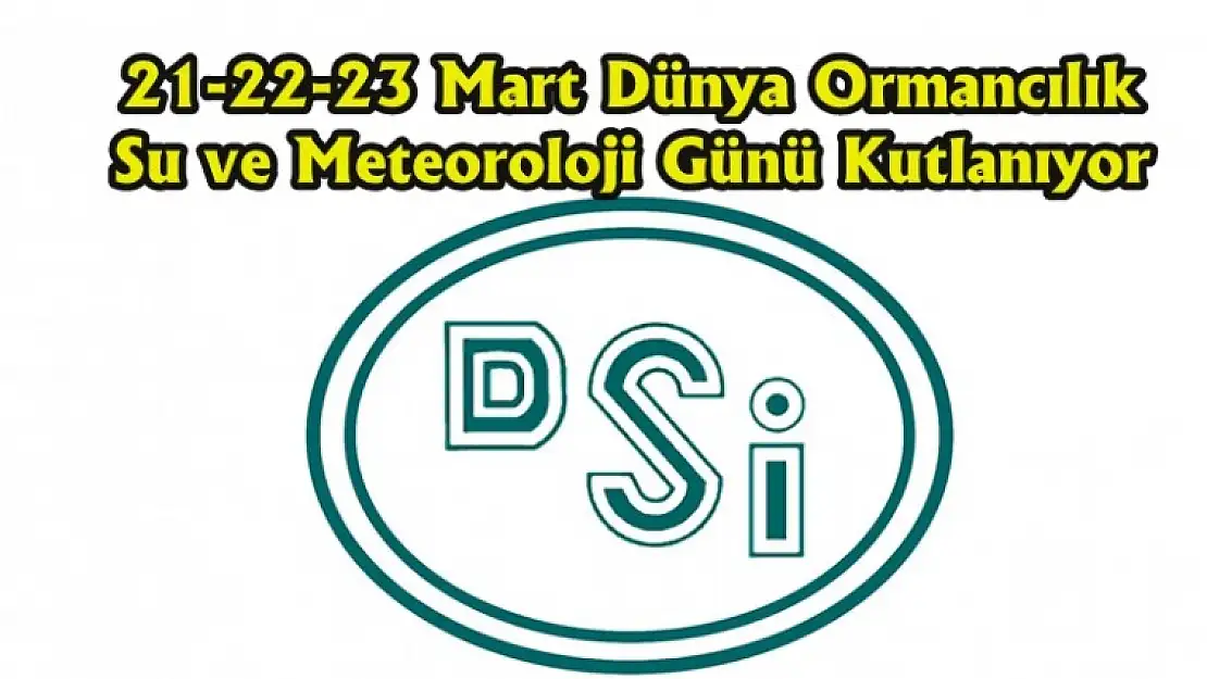 'İnsan için Orman'