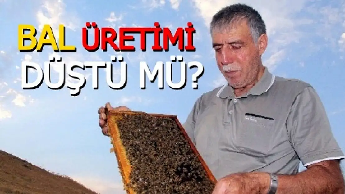 Üretim 100 Ton'a Düştü