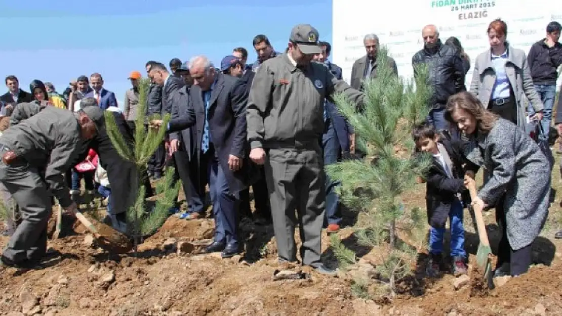 Bereket Ormanlarına Fidan Dikildi