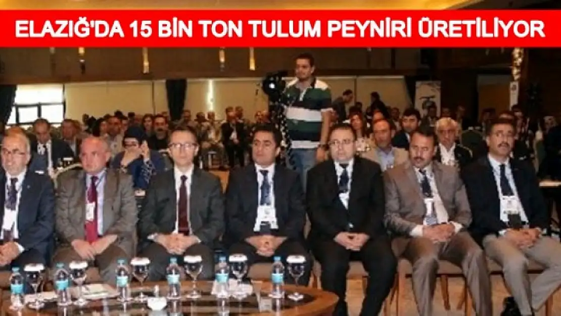 Peynir Paneli Düzenlendi