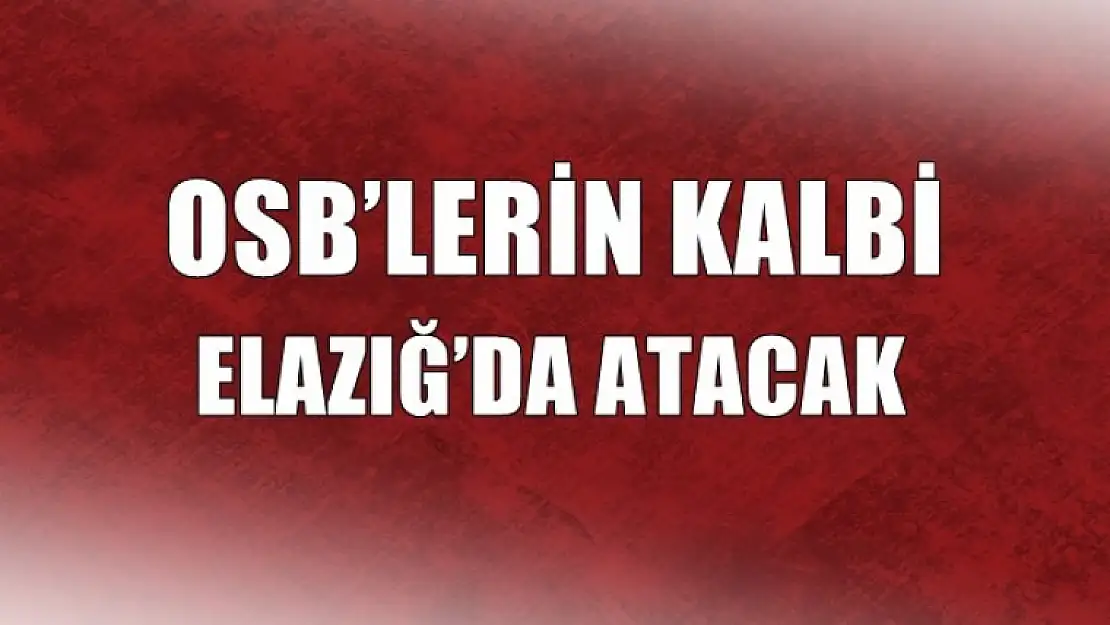Bölge OSB Toplantısı Yapılacak